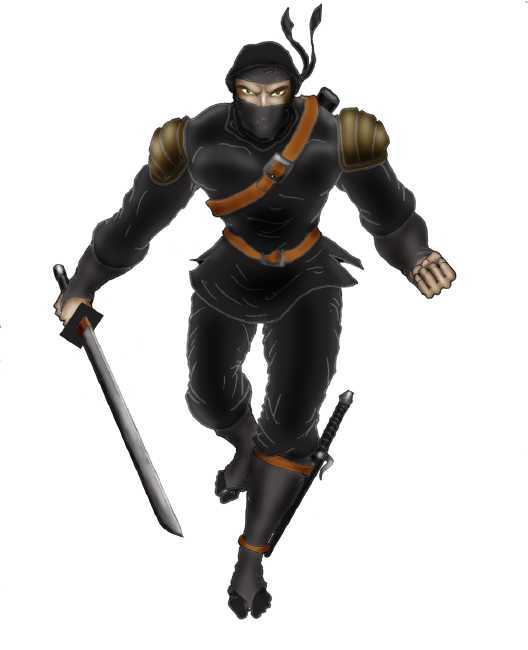 yarışma ninjası