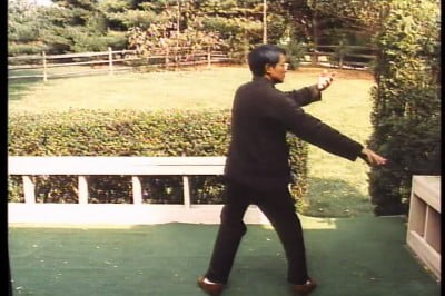 snapshot20100722130231