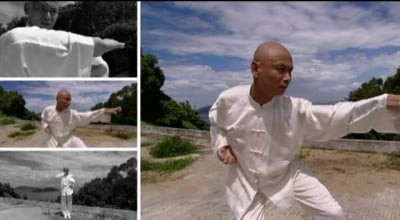 cinema hong kong kung fu (3)