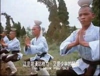shaolin kung fu 1