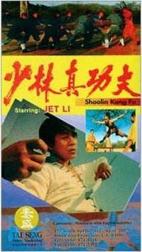 shaolin kung fu