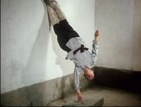 shaolin kung fu3