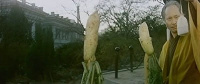 Bruce & Shaolin Kung Fu (6)