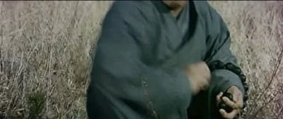 Bruce & Shaolin Kung Fu (8)