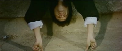 Bruce & Shaolin Kung Fu (9)