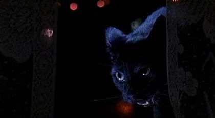 Ölümün Gözleri (Due occhi diabolici,  Two Evil Eyes, 1990)