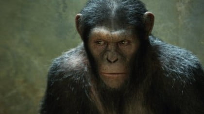 rise-of-the-planet-of-the-apes-ceasar