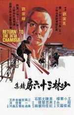 return to the 36th chamber (1)