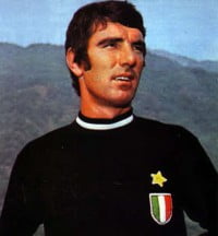 dino-zoff