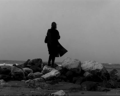 I Am the One Who Brings Flowers to Her Grave