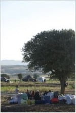 027423.jpg-r_160_240-b_1_D6D6D6-f_jpg-q_x-xxyxx