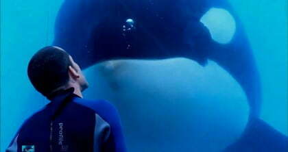 blackfish1