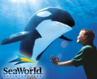 seaworld