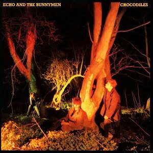 Echo_&_the_Bunnymen_Crocodiles