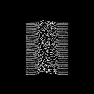 Unknownpleasures (1)