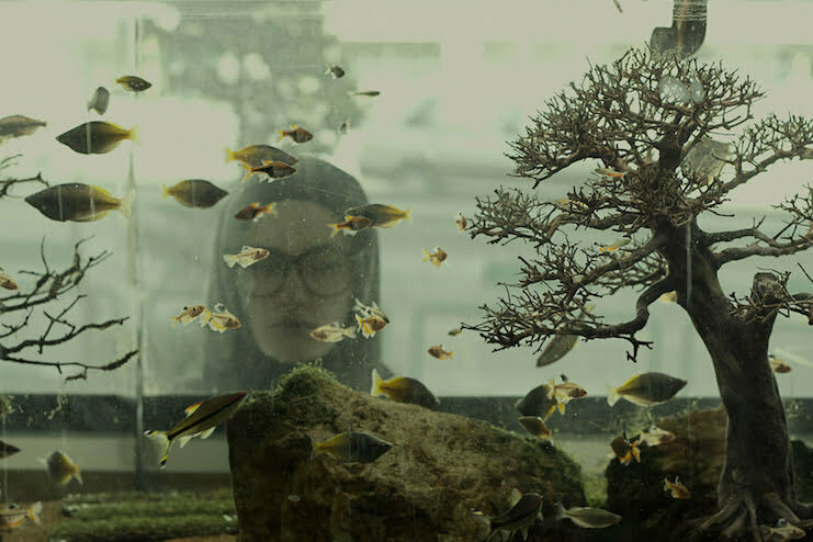 kes!f-uluslararasi-yarisma-59-463-3