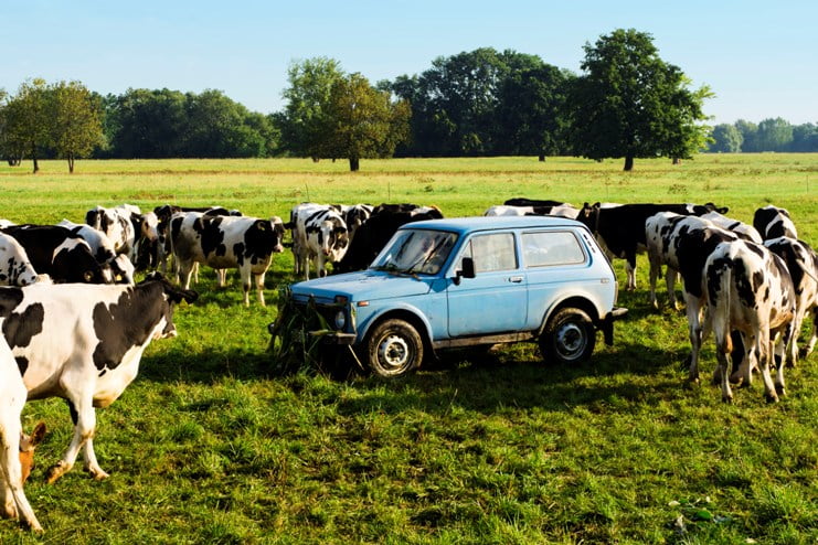 "tschick", 2015 Lago Film GmbH