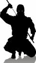 karanlık ninja
