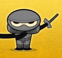 Ninja Bilgisi
