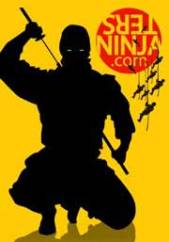 tersninja-banner-sari